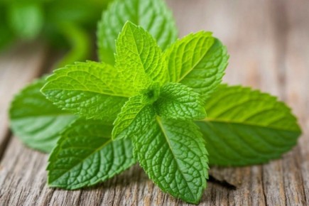 ������ ���� ������ ����������: ����, �������� � ����� ���� ���������� ������ ����������