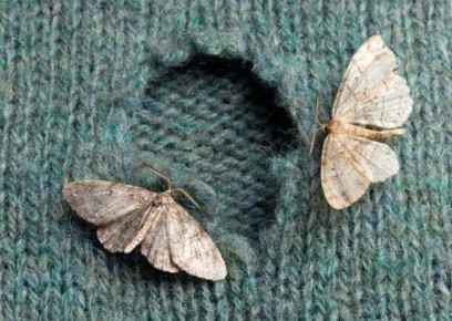 ������� ������ � �����: ����������� ������� ��������� ���� ������ � ������