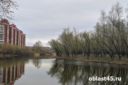 � ������� �������� ����� ������