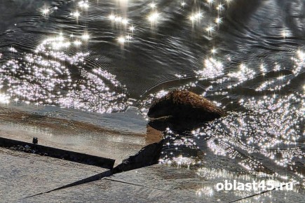 ������� ������ � ������� �������� ���� ������