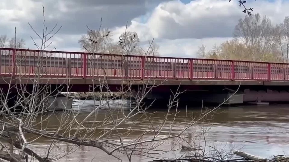 Сегодня в районе Мало-Чаусовского моста с помощью техники МБУ «КурганЛес» были произведены работы по устранению затора, образовавшегося под мостом из мусора и сухих веток
