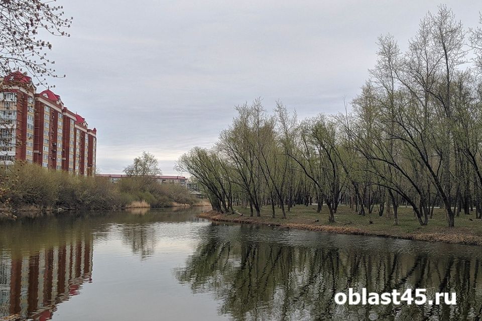 В Кургане три улицы в Шевелёвке благоустроят в рамках развития территории у ЦПКиО