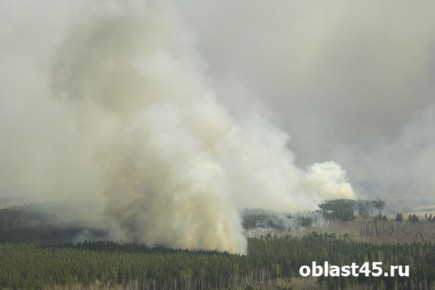 �������� ��������� � ������� � ����� ����� � �������� � ������ - ������� �� 23 ������