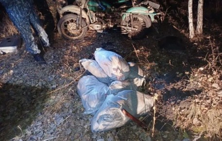 ��� ���������� ����� ������� �� ���������� ����� �� ����� � ��������