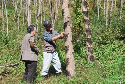 ������� ������: ��������, �� �������������� �������� ������