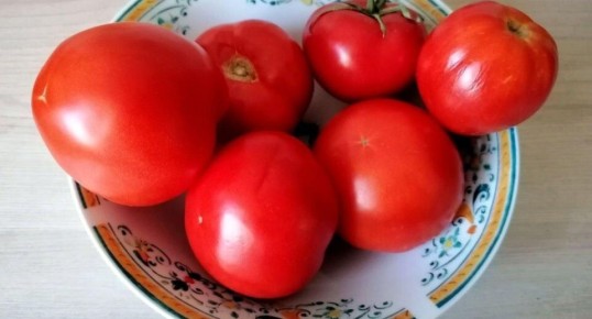 ������ ��������: ����� �� �� ��� ������������?