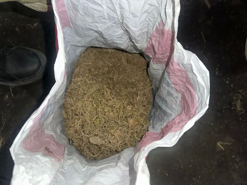 Полицейские Каргапольского округа изъяли у местных жителей прекурсоры наркотических средств, а также почти 350 граммов каннабиса