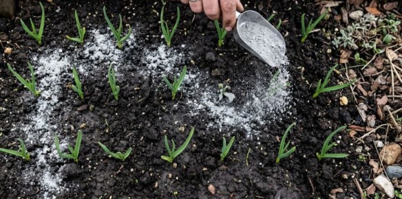 ������ ����� �� �������� ������ � �����, ������� ����� ��������