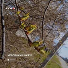 ������ ����, ���������!. ������� � ������� ����� ��������, �������� ��������� �����