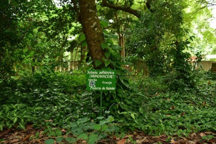 �������� ���������: ���������� ��� ��������