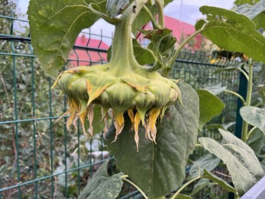 ���������� �� ����� �������: ��� ��������� � �����?