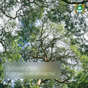 ������ ����, ���������� �������!