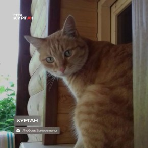 ������ ����, ���������! � ������� ����� ������!