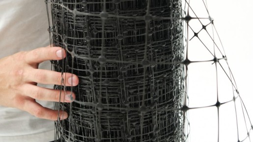 ��� ��������� ����������� ����� �� ������ ����: ������� �����