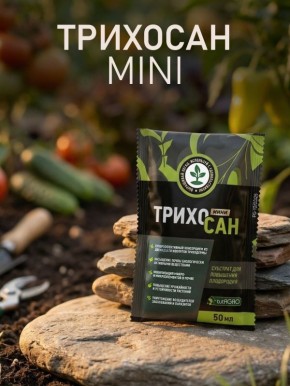 � ����� �������� � ����� ���� �������!