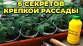 ��� ��������� ������� ������� �������: 6 �������� �� ������� ��������