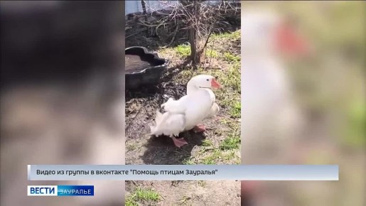 ��������, ������� �������� ������ ��������, ���������� �����, ��� ���� ������� ��������� �������� �����