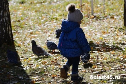 Соцфонд разъяснил правила оформления детского пособия для разведённых родителей