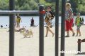 Официальные пляжи в Кургане и российские туристы в Китае - главное за 20 мая