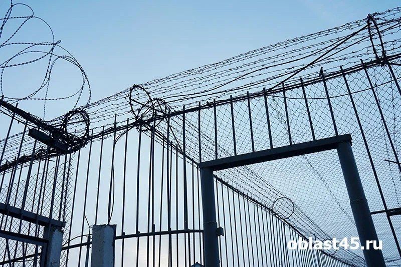В Зауралье пенсионерка, подросток и их приятели устроили групповой грабеж с проникновением в дом
