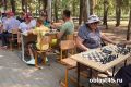 Курганцам рассказали, как снизить риск болезни Альцгеймера на пенсии