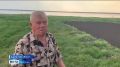 С начала пожароопасного сезона в Курганской области за неосторожное обращение с огнём к ответственности привлекли 10 человек
