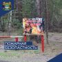 В Кургане продлен запрет на посещение лесов