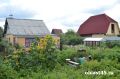 В Кургане зафиксировали небывалый спрос на расчистку дач от борщевика