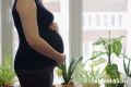 В женских консультациях Кургана пройдут молебны для беременных