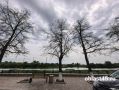 Полчища прожорливых гусениц шелкопряда уничтожают деревья на набережной Кургана