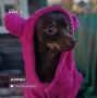 Доброе утро, зауральцы!. День в Кургане будет теплый и дождливый