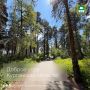 Доброе утро, Курганская область!