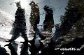 � ���������� ������� ��-�� ����� ������ �������� ������� �����, ������� ��������