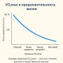 Как VO2 max влияет на здоровье и выносливость: все, что нужно знать