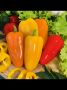 Перец Вау: незабываемые вкусы в ярких цветах