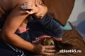 ������ ���������� ������� ����� ��� ��� �� ��������� � ������
