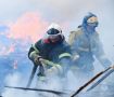 Поджог тополиный пух - в Курганской области установлен очередной виновник ландшафтного пожара