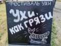 Уха, ярмарка и пенное шоу: в Зауралье проведут «Фестиваль грязи»