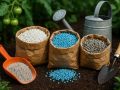 Если удобрения становятся ядром: как распознать опасные изменения