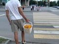 Зауралье накрыло грибной волной