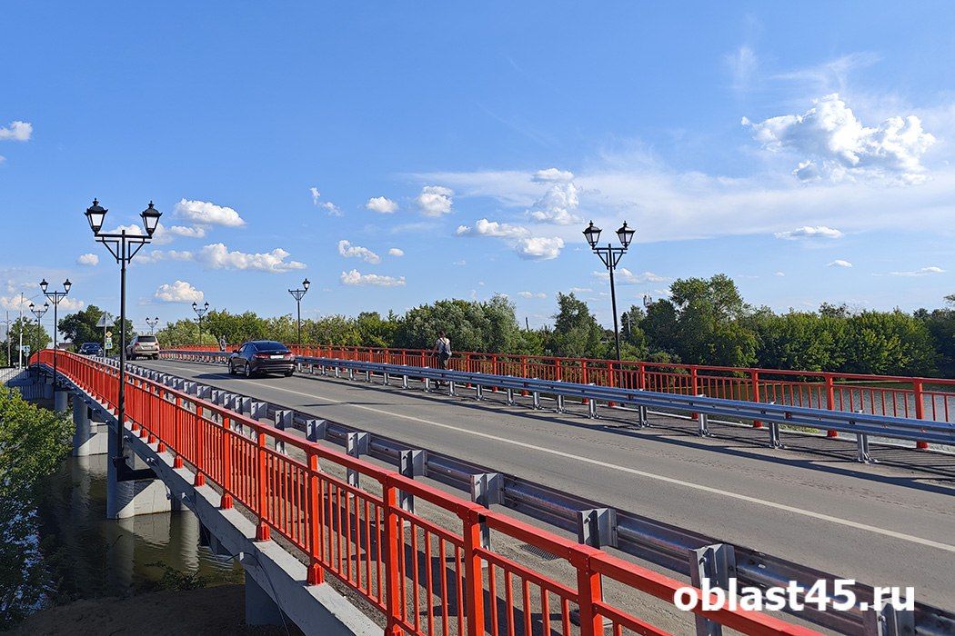 В Кургане женщина два дня похищала петуньи с Кировского моста