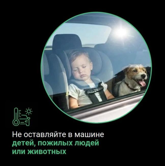 Уважаемые жители и гости региона! Департамент строительства, госэкспертизы и ЖКХ информирует: в связи с установившейся аномально жаркой погодой в соответствии с приказом ведомства с целью обеспечения сохранности дорожного... Уважаемые жители и гости региона! Департамент строительства, госэкспертизы и ЖКХ информирует: в связи с установившейся аномально жаркой погодой в соответствии с приказом ведомства с целью обеспечения сохранности дорожного...