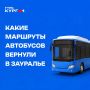 В Зауралье возвращают востребованные маршруты автобусов