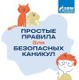 Простые правила для безопасных каникул