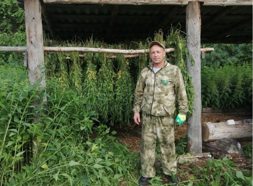 Сдуреют с прикормки: для зауральских животных подготовили крапиву и соль Сдуреют с прикормки: для зауральских животных подготовили крапиву и соль