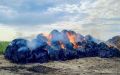Молния сожгла 100 рулонов сена в курганской деревне