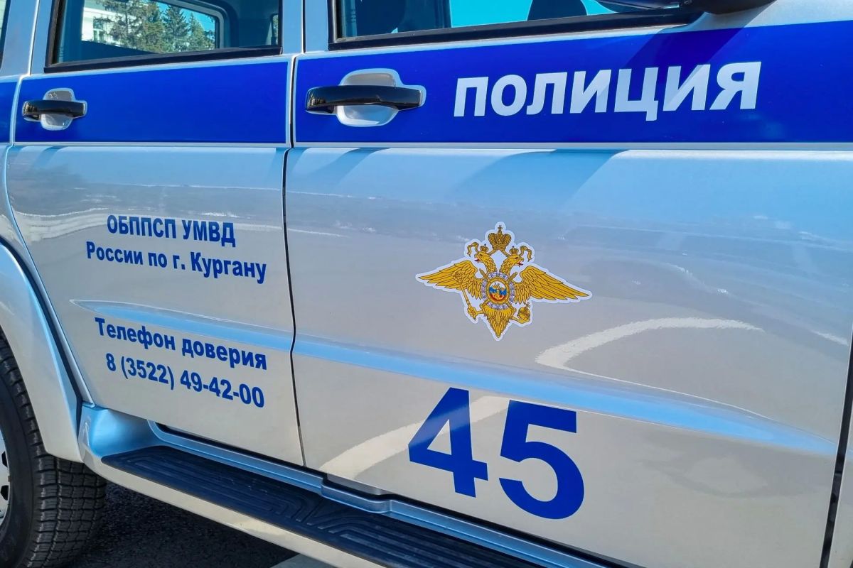 Ранее задержанной сотрудниками патрульно-постовой службы полиции гражданке вынесен приговор по делу об осквернении символов воинской славы