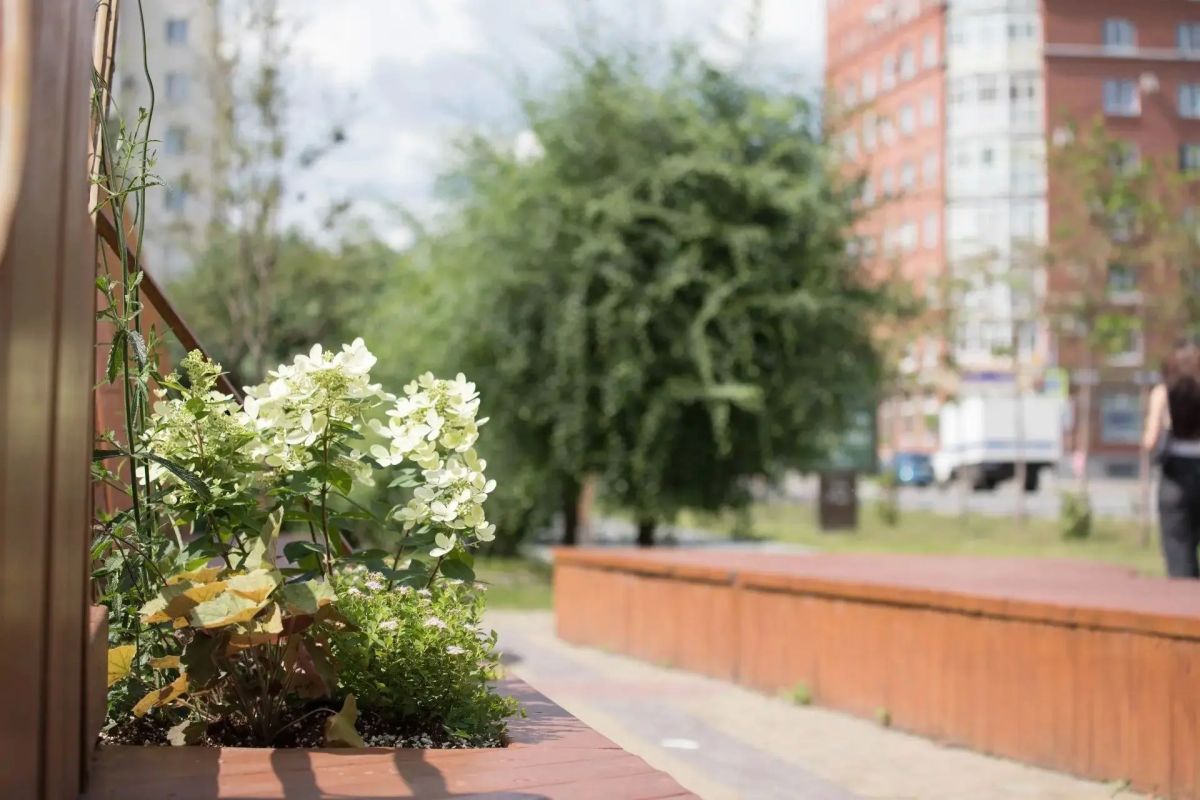 В сквере им. В. Высоцкого высадили многолетние растения В сквере им. В. Высоцкого высадили многолетние растения