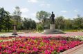 Лето раскрасило Курган яркими красками