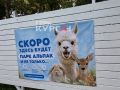 Курганцев готовят к появлению альпак в ЦПКиО